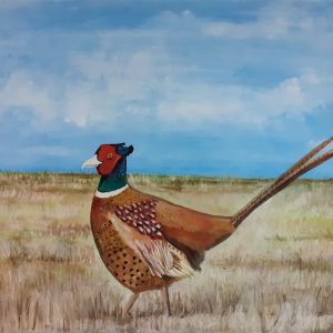 Lone pheasant canvas (BIRD101)