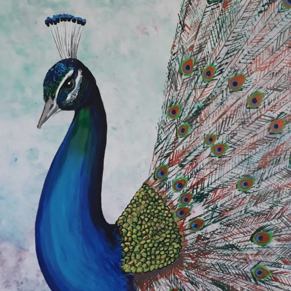 Large peacock canvas (BIRD102, closeup)