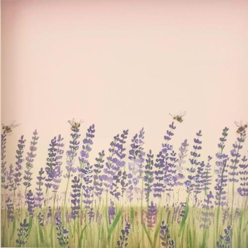 BF_LAVENDER03